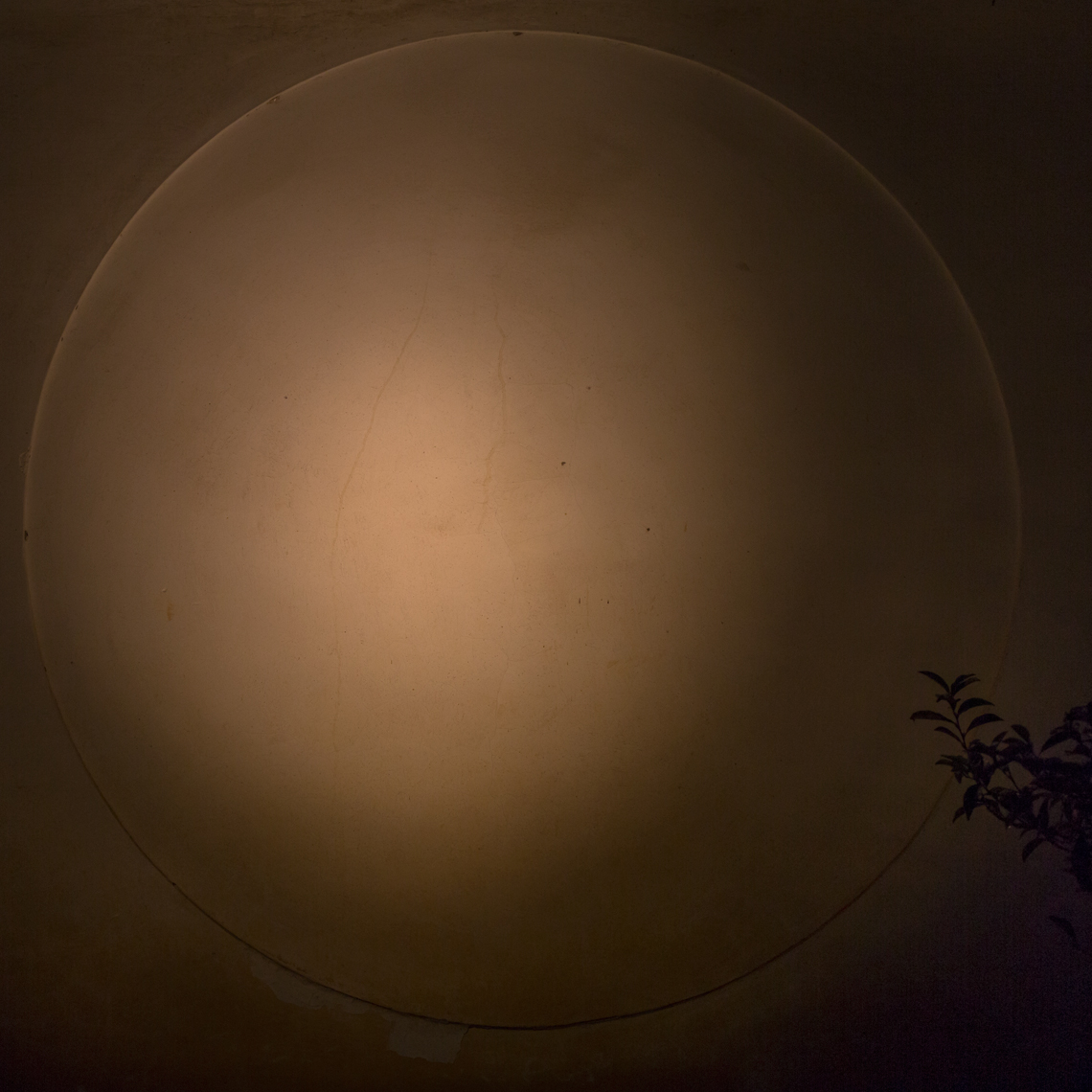 2014_03_20_Kyoto_StreetScenes41GardenMoon