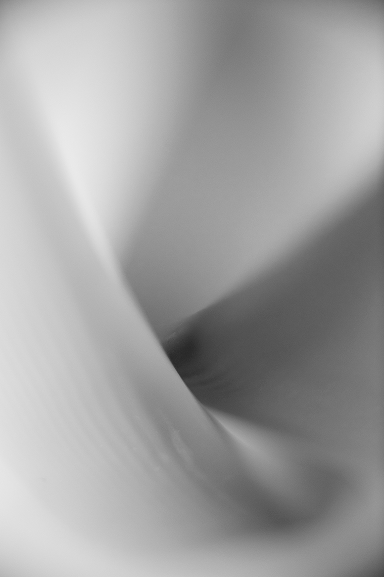 2015_12_19_WestSeattle_PaintingWithLight_Sake_52_Nesting