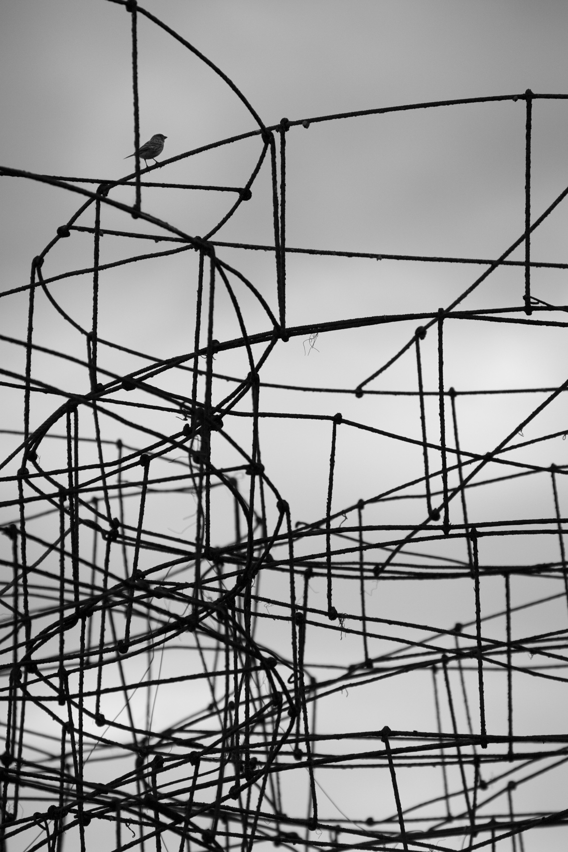 Song Geometry, Gran Canaria, Canary Islands